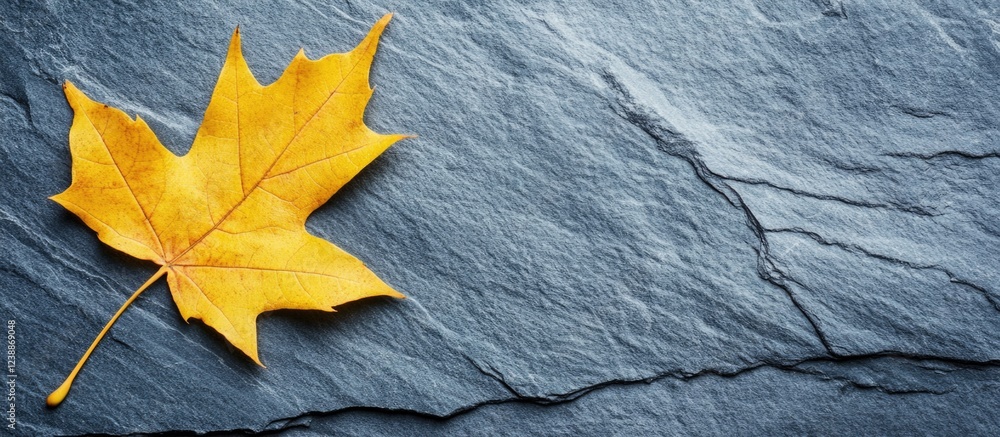 Poster yellow maple leaf on textured blue slate stone background with ample copy space for text placement