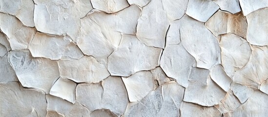 Textured white cracked wall surface for background or architectural design with organic shapes and uneven surfaces Copy Space