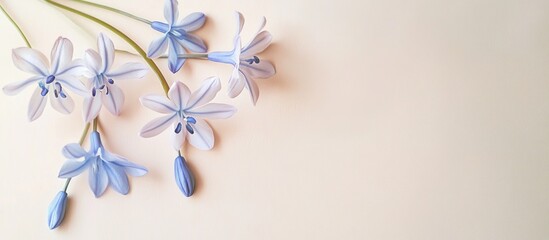 Obraz premium Blue flowers on a pale background with green stems providing ample Copy Space for text placement.