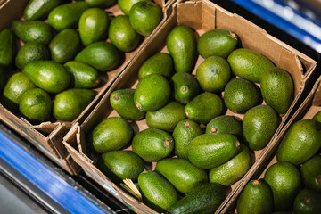 Boxes of avocados for sale in a supermarket.