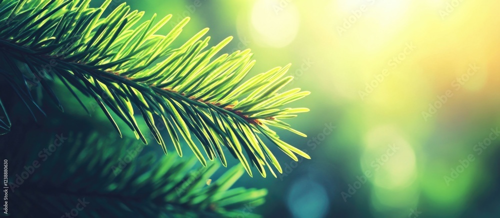 Poster close-up of pine branch in sunlight with bokeh background and copy space