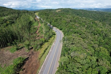a imagem de uma estrada que corta a floresta tropical no interior do estado de São Paulo, Brasil,...