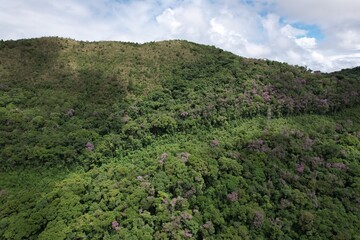 Obraz premium A imagem aérea obtida com drone da floresta tropical no vale do Ribeira, em São Paulo, Brasil.