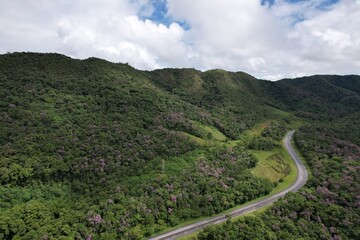 Uma estrada sinuosa em meio à floresta, no Vale do Ribeira, Estado de São Paulo, Brasil.