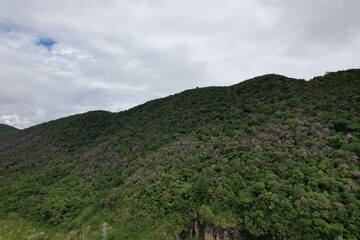 A imagem aérea obtida com drone da floresta tropical no vale do Ribeira, em São Paulo, Brasil.
