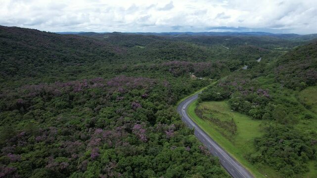 Uma estrada sinuosa em meio &agrave; floresta, no Vale do Ribeira, Estado de S&atilde;o Paulo, Brasil.