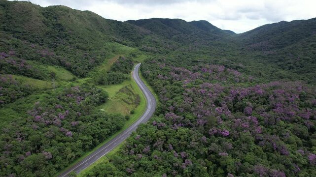Uma estrada sinuosa em meio &agrave; floresta, no Vale do Ribeira, Estado de S&atilde;o Paulo, Brasil.