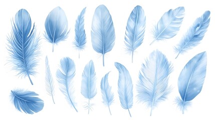 Collection of Delicate Light Blue Watercolor Feathers