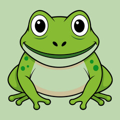 Toad vector illustration 