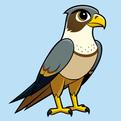 Falcon  vector illustration 