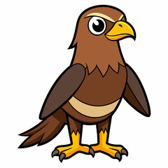 Hawk vector illustration 
