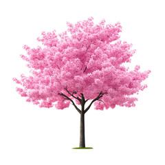 Obraz premium Vibrant pink cherry blossom tree in full bloom during spring.