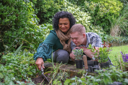 Mature mother with adult son planting in garden
