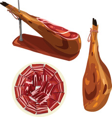 Jamón iberíco. Spanish illustration vector.