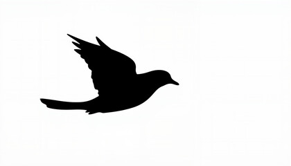 Obraz premium Bird in flight silhouette on white background, freedom concept