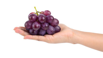 Fototapeta premium A hand holds a fresh bunch of ripe grapes