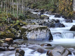 Long exposure photography of a flowing rocky river in a natural forested area surrounded by lush vegetation