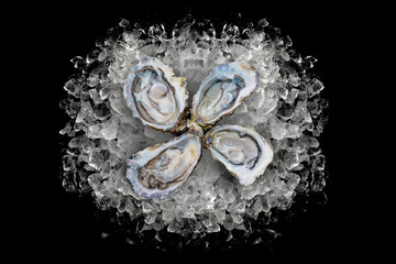four Fresh Oysters on Crushed Ice on black background