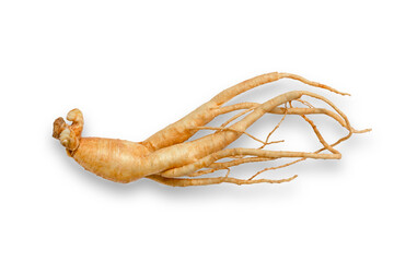 korean ginseng and ginseng root,Ginseng or Panax ginseng isolated on white background with clipping path
