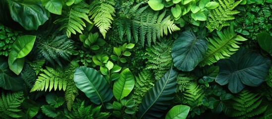 Dense Tropical Foliage Background with Various Shades of Green Leaves and Plants with Copy Space