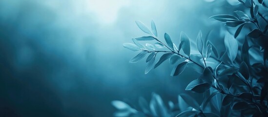 Blue tinted foliage with soft focus background creating a tranquil atmosphere and natural aesthetic providing ample copy space