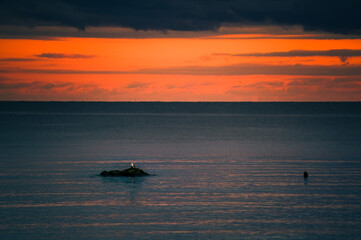 Naklejka premium Lone Seagull Resting on a Rock Amidst a Vibrant Ocean Sunset