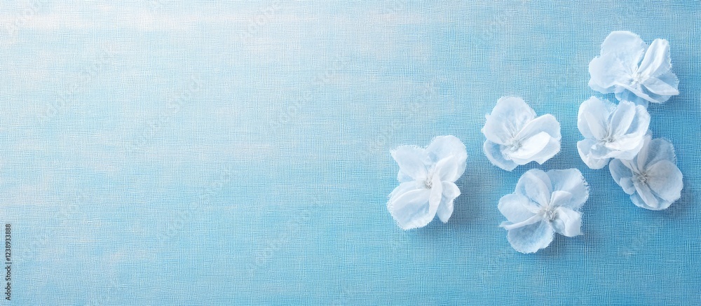 Poster white fabric flowers arranged on a soft blue textured background with ample copy space for text plac