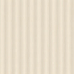 Obraz premium Background with light wood texture and natural old pattern.