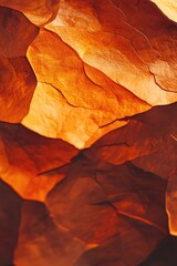 Autumn Leaves Texture