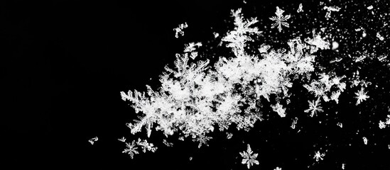 Macro shot of snowflakes on black background showcasing intricate frozen patterns and textures with ample Copy Space for text placement
