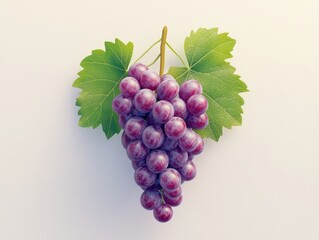 Fototapeta premium Purple Grapes on the Vine
