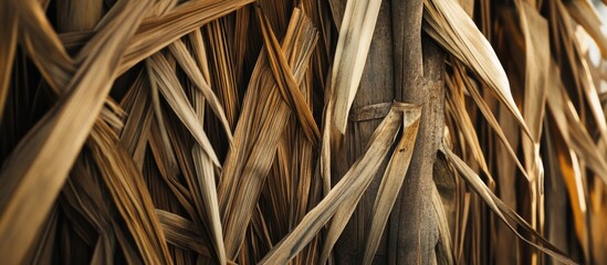 Close-up of dried grass and bamboo textures with a focus on natural patterns and colors Copy Space