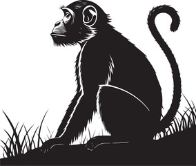 Monkey silhouette image