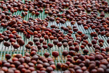 A close up of dried fruit on a tray