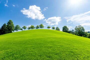 Obraz premium Sunny Day Lush Green Hill Park Landscape - Serene landscape, symbolizing peace, nature, growth, tranquility, and renewal. A picturesque view of a vibrant green hill under a sunny sky.