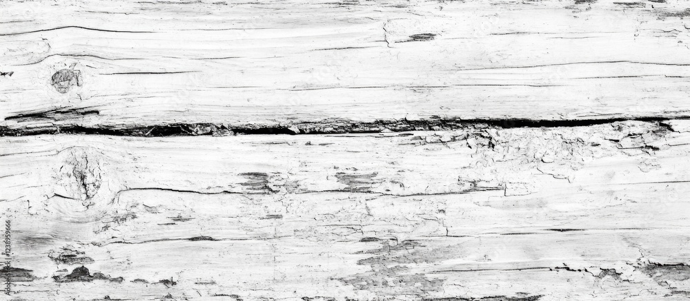 Poster white rustic wooden background with cracks and natural textures suitable for various design projects