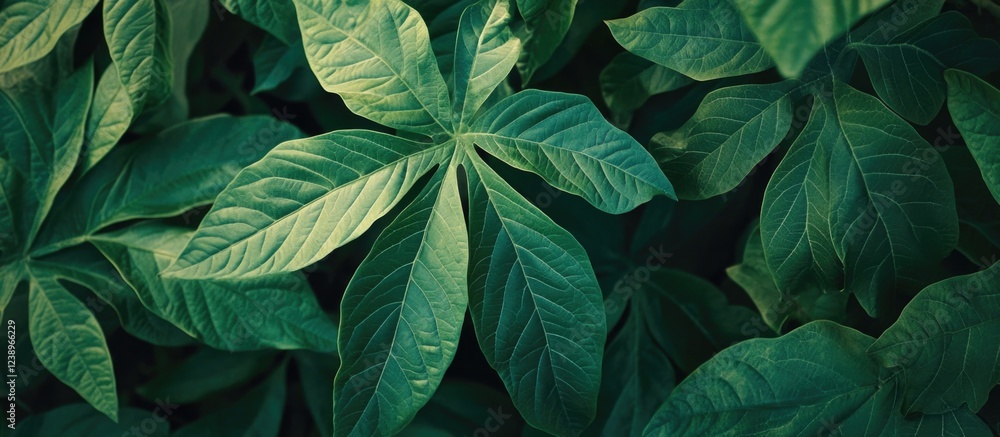 Poster close-up of lush green leaves with varied shapes and textures in natural light suitable for backgrou