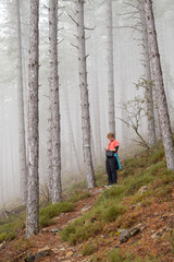 Hiker checking gps tracking app in misty pine forest