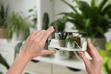 Man taking photo of plant to recognize it using identifier application on mobile phone indoors,...