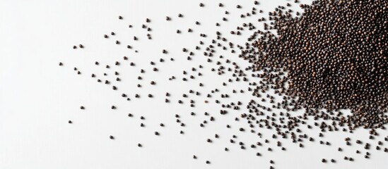 Black mustard seeds scattered on a white background with ample copy space for text placement