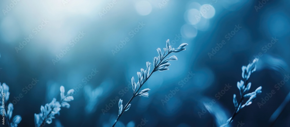 Poster blue toned close-up of delicate grass blades with a blurred background and soft bokeh effect copy sp