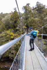 Fototapeta premium Hiker walking on swing bridge in lush forest of new zealand