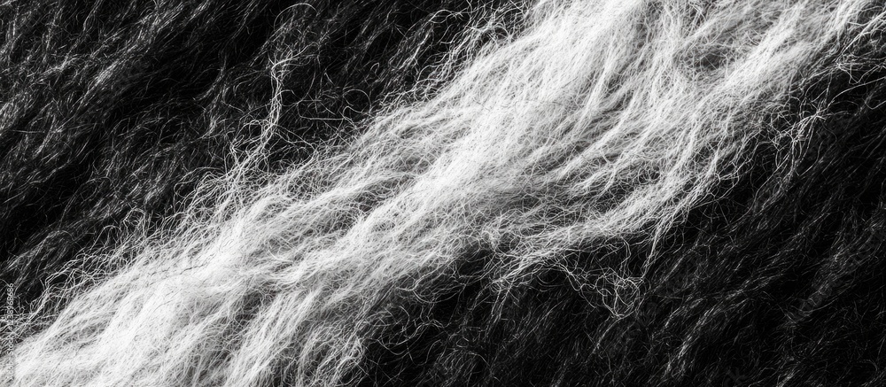 Aufkleber Black and white abstract textured background with fluffy strands and fibers creating a flowing pattern and ample copy space