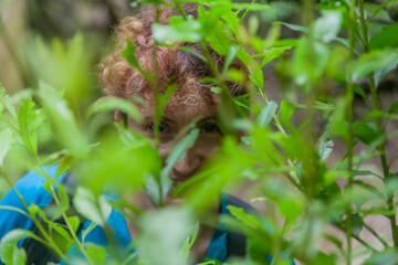Biologist observing nature hiding behind green foliage