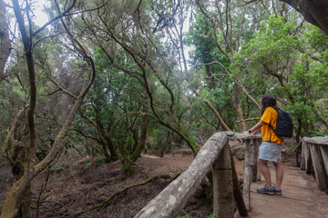 Tourist walking on wooden bridge in enchanting el hierro forest