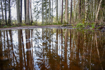 Obraz premium puddle of mud and dirty water in country