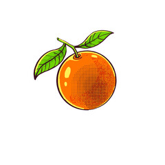 vibrant orange fruit with leaf energic vibes illustration