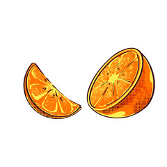 orange slice of orange half orange illustration isolated white