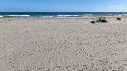 Beach sand with sea oats growing on South Carolina coastal shoreline at Pawleys Island, SC destination for tourist for relaxing under warm sunshine and enjoying quiet beach walks by the ocean