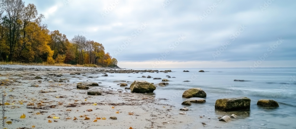 Poster autumn landscape with rocky beach shoreline under cloudy sky and calm ocean water with scattered peb